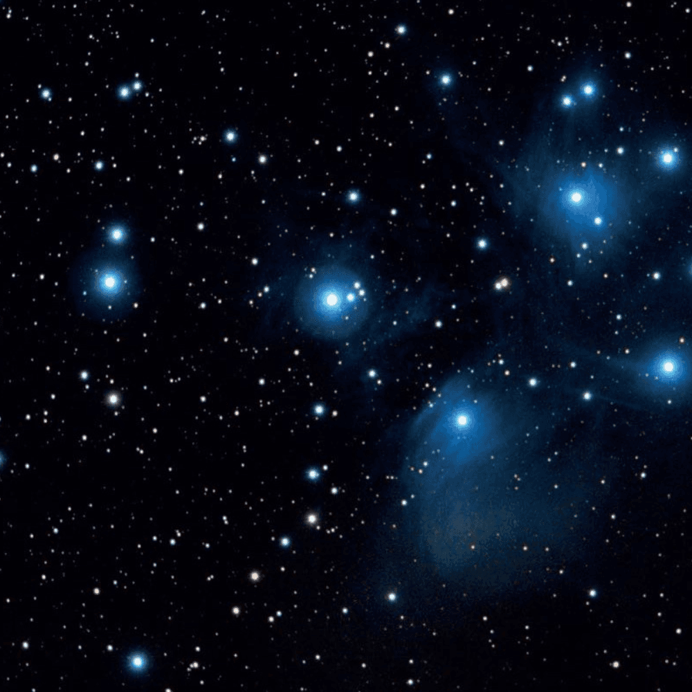 Stars